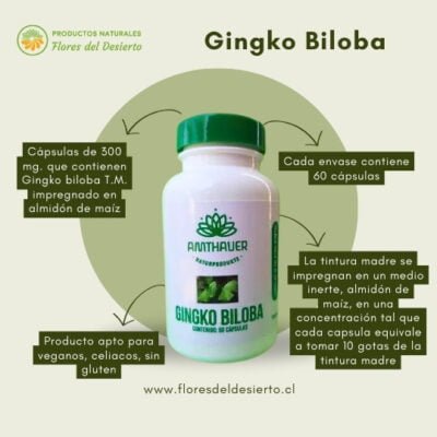 Gingko Biloba