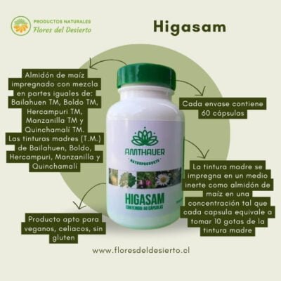 Higasam