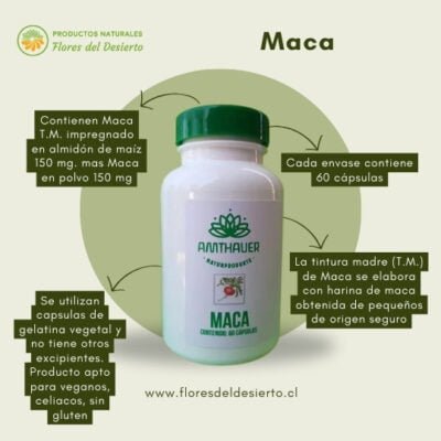 Maca